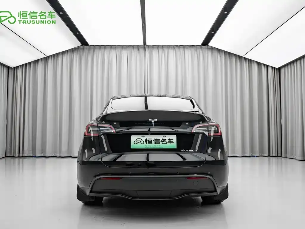 Tesla Model Y — фото 8