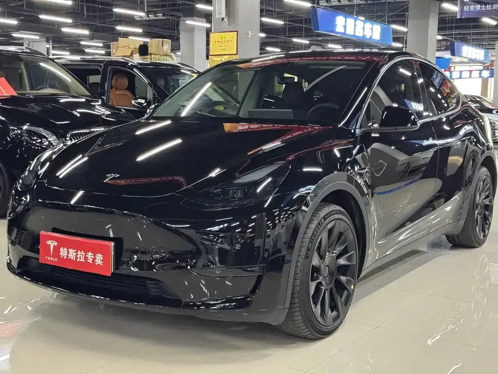 Tesla Model Y — фото 1