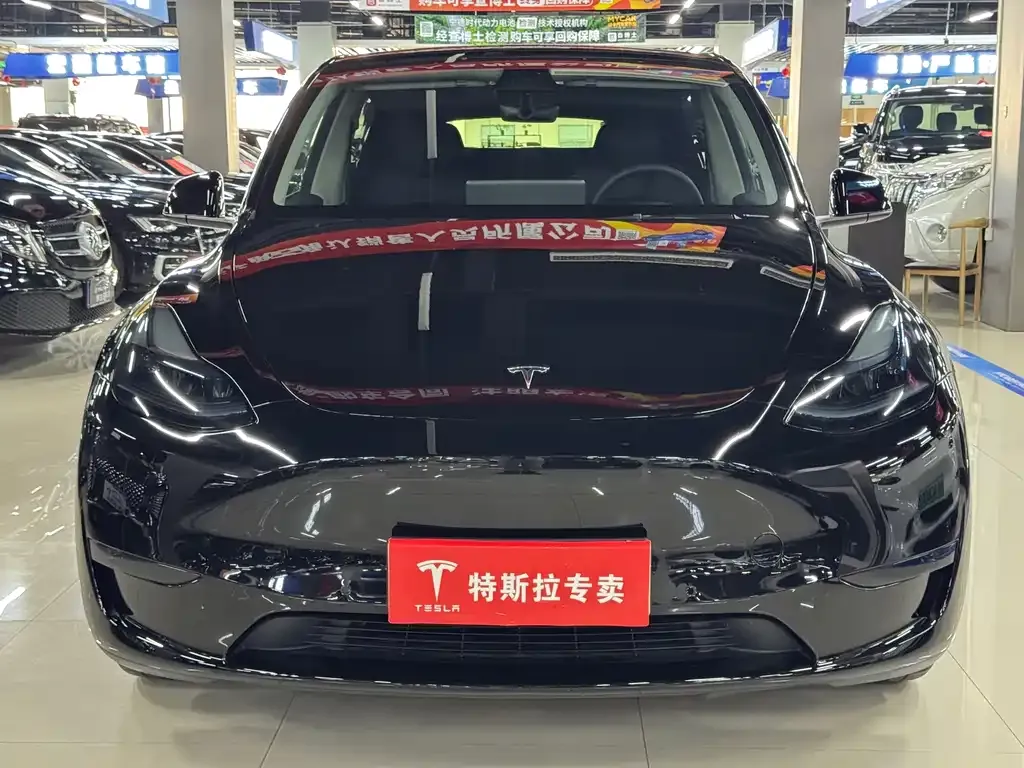 Tesla Model Y — фото 6