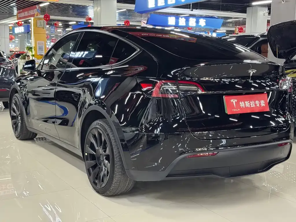 Tesla Model Y — фото 10