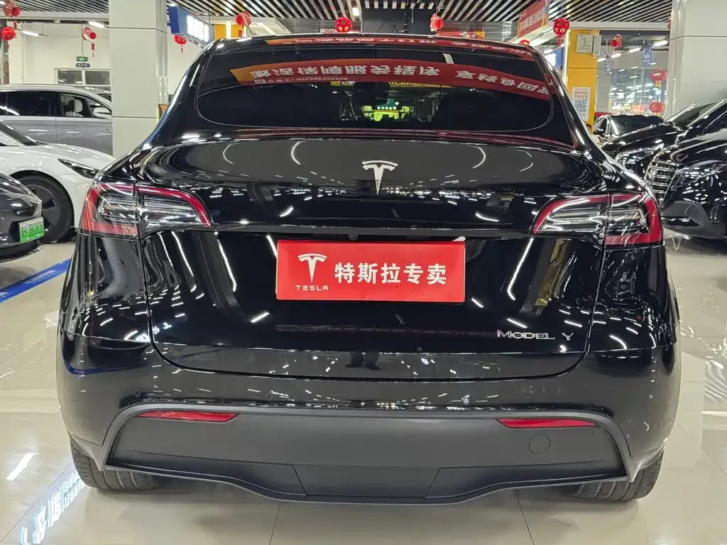 Tesla Model Y — фото 3