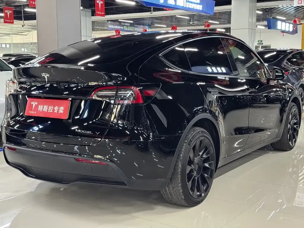 Tesla Model Y — фото 9