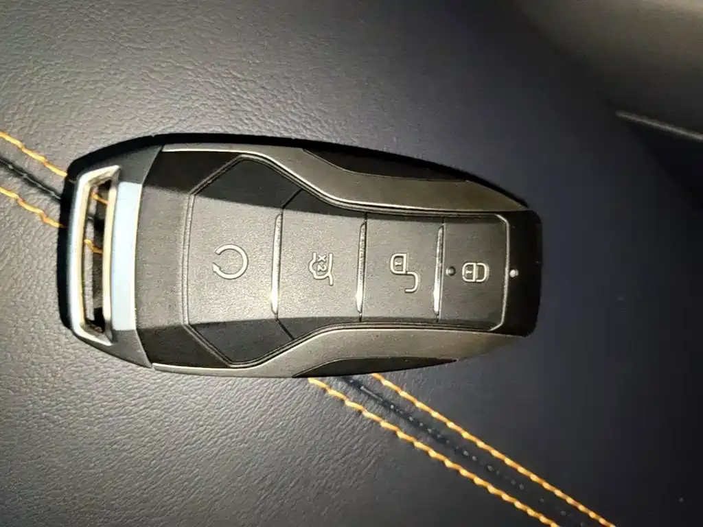BYD PLUS New Energy — фото 4