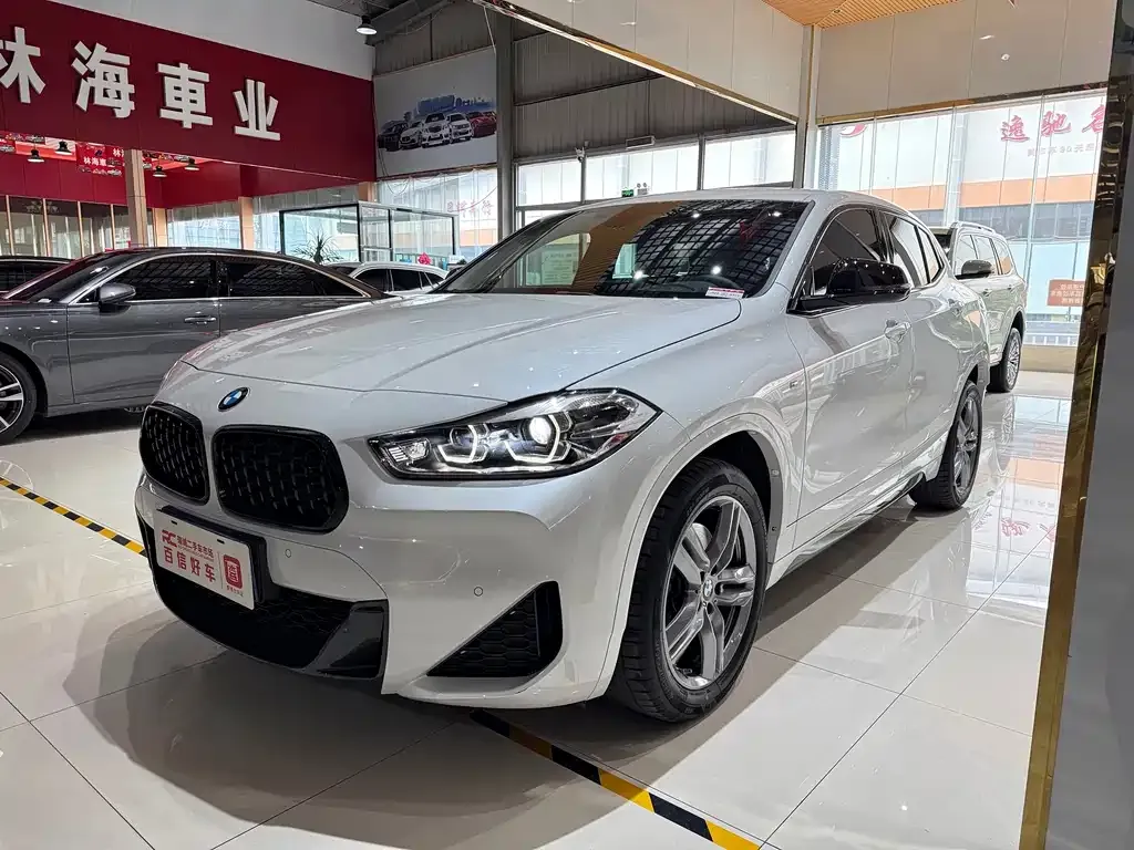 BMW X2 — фото 1