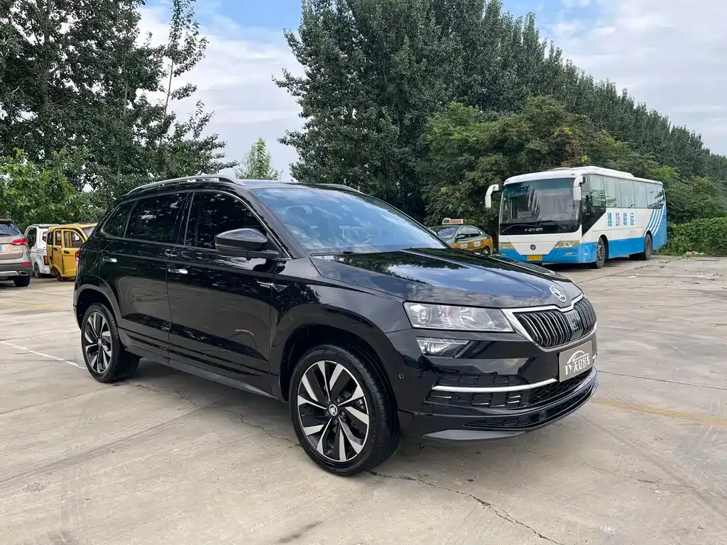 Skoda Karoq — фото 9