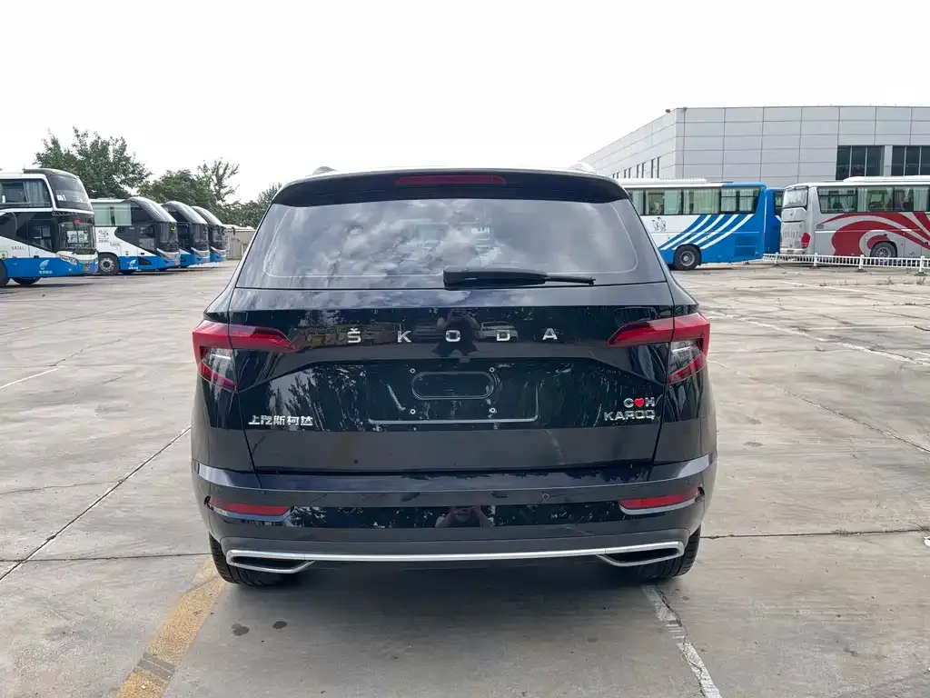 Skoda Karoq — фото 7