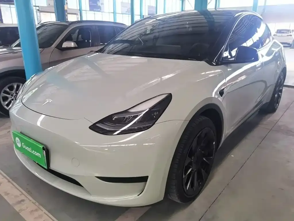 Tesla Model Y — фото 9