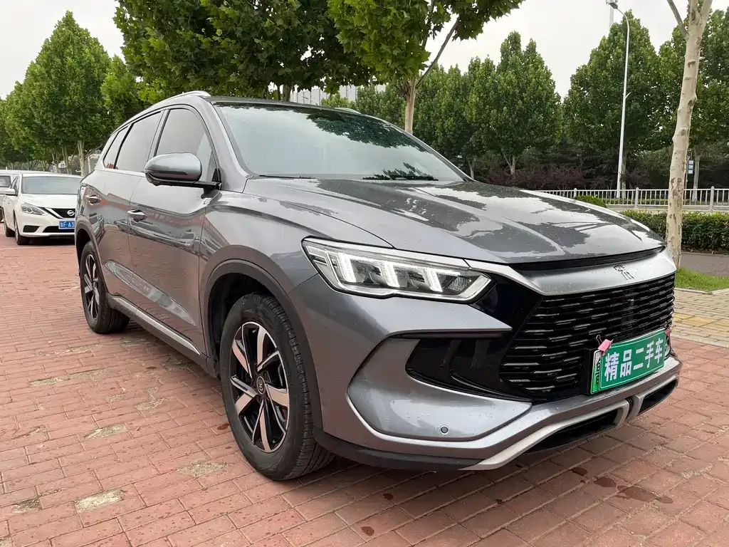 BYD Pro New Energy 2024 из CN, фото 7