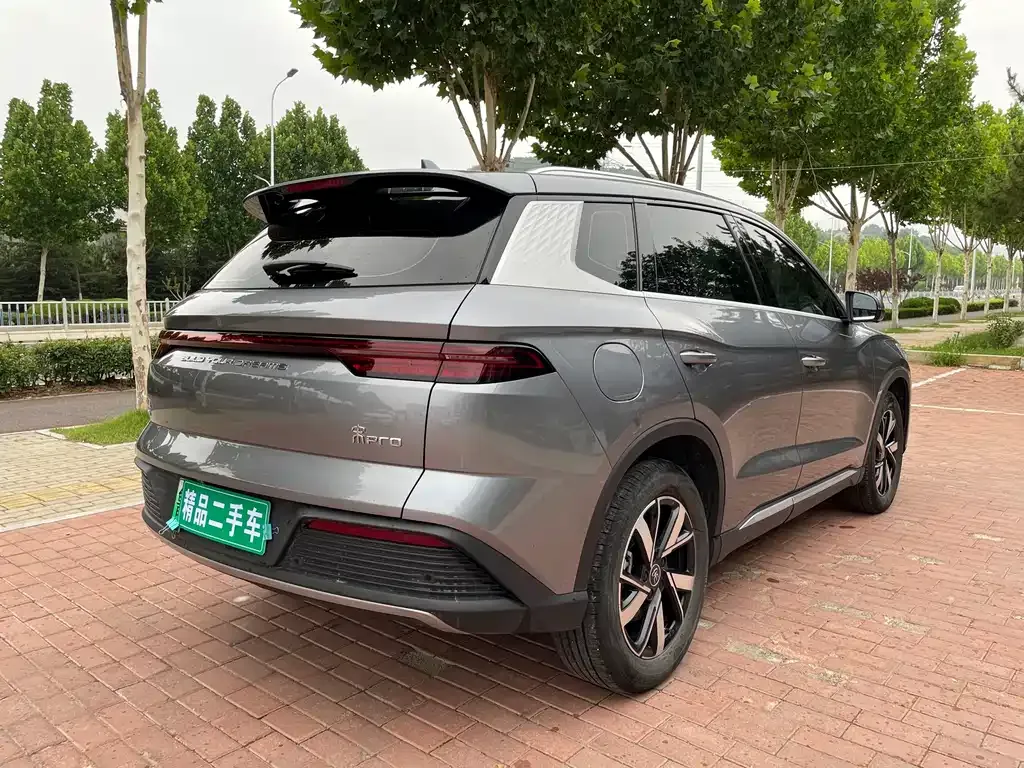 BYD Pro New Energy 2024 из CN, фото 10