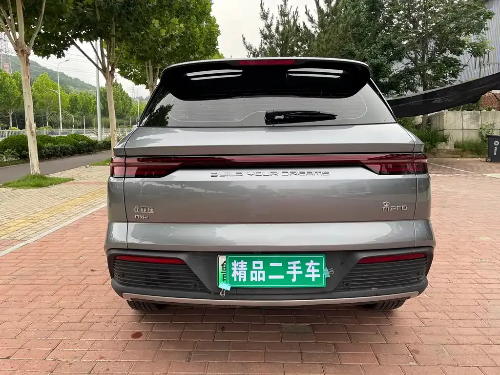 BYD Pro New Energy 2024 из CN, фото 8