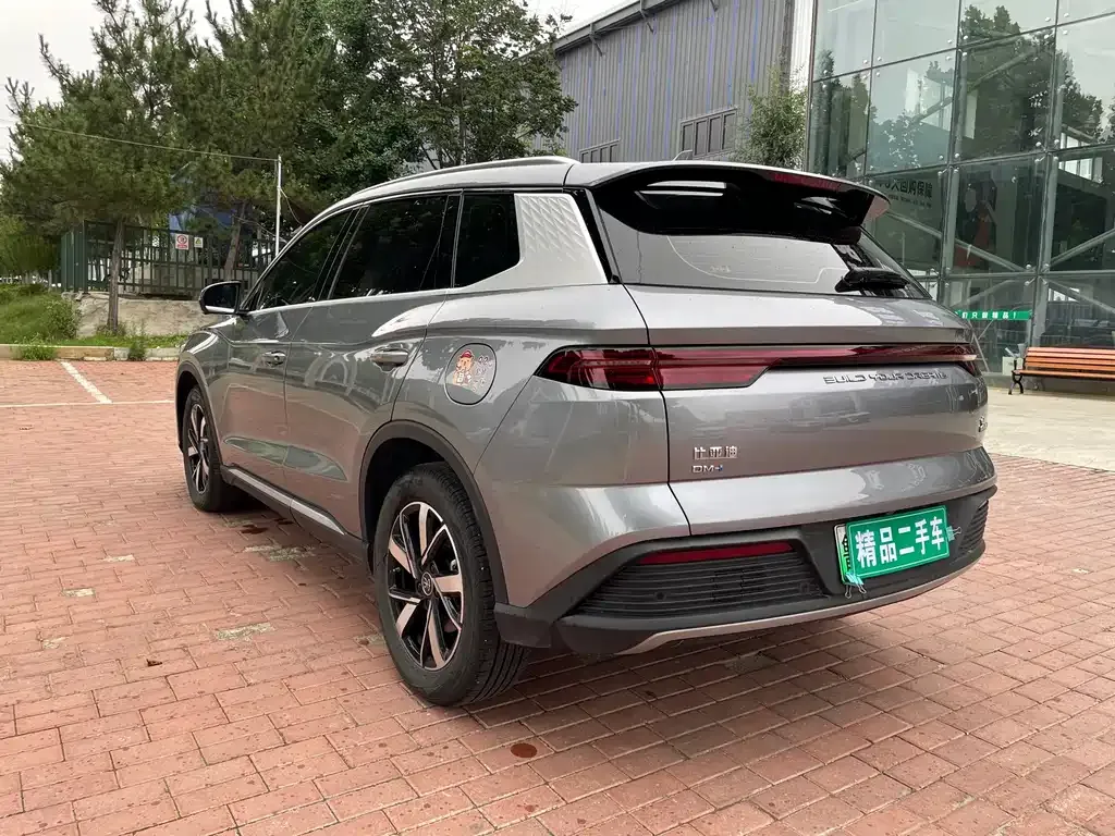 BYD Pro New Energy 2024 из CN, фото 9