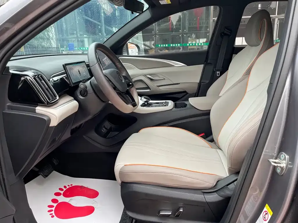 BYD Pro New Energy 2024 из CN, фото 4