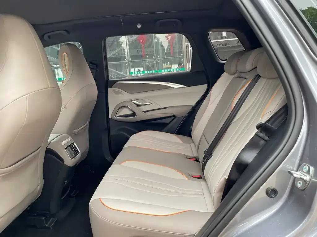 BYD Pro New Energy 2024 из CN, фото 3