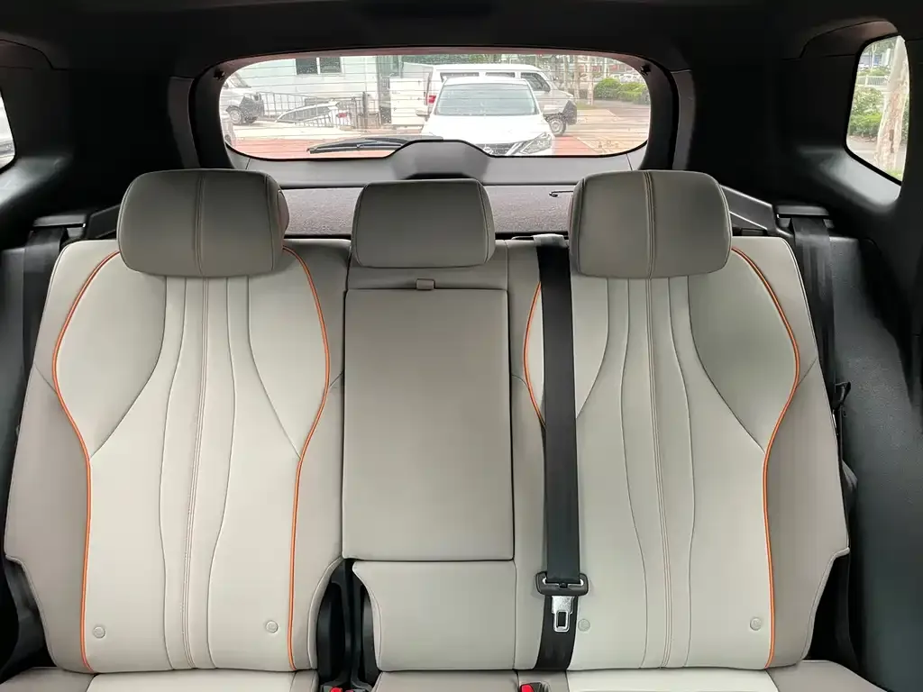 BYD Pro New Energy 2024 из CN, фото 2