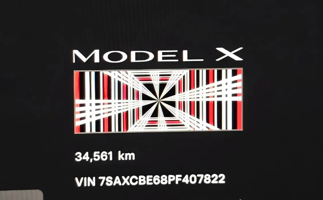 Tesla Model X — фото 9