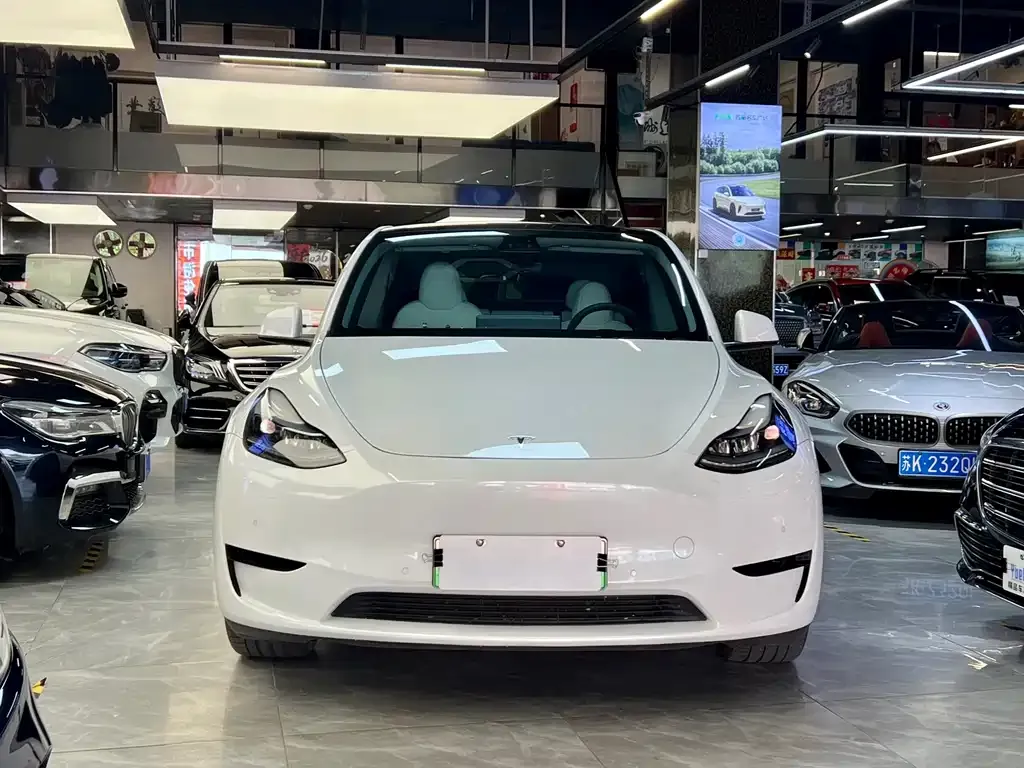 Tesla Model Y — фото 5