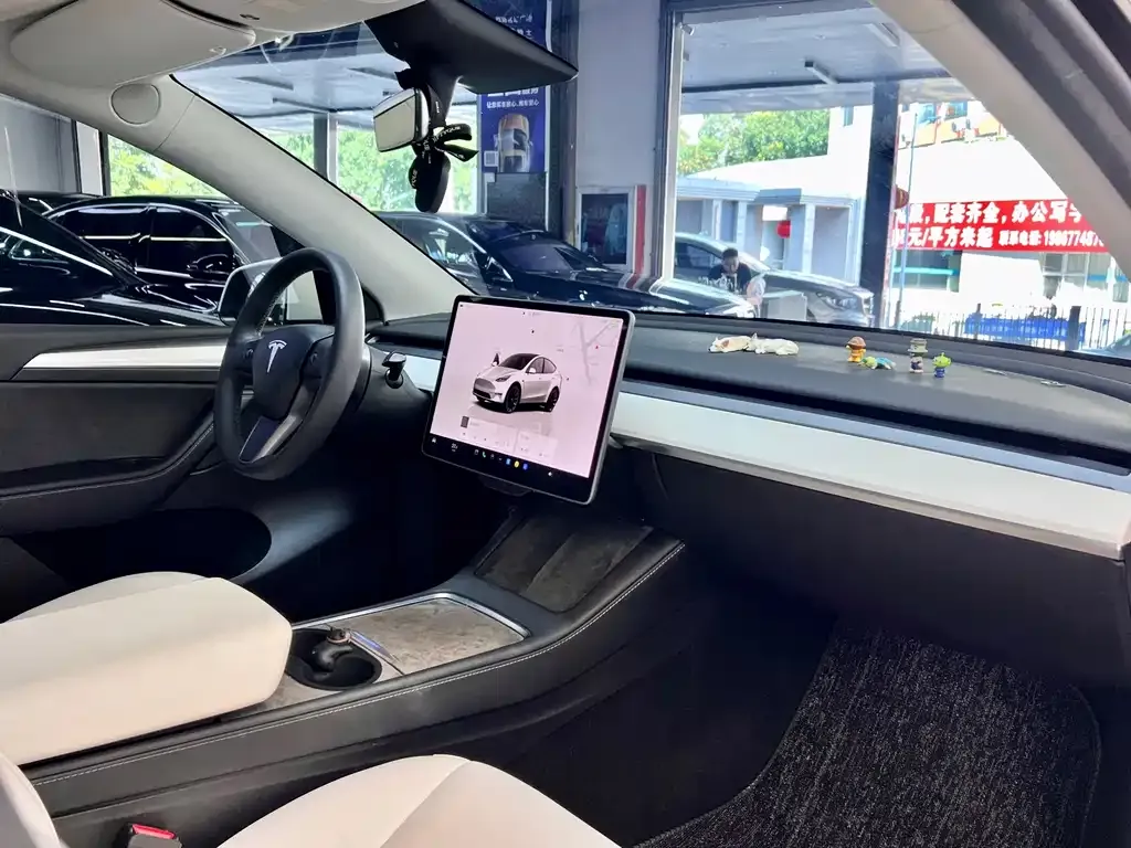 Tesla Model Y — фото 9