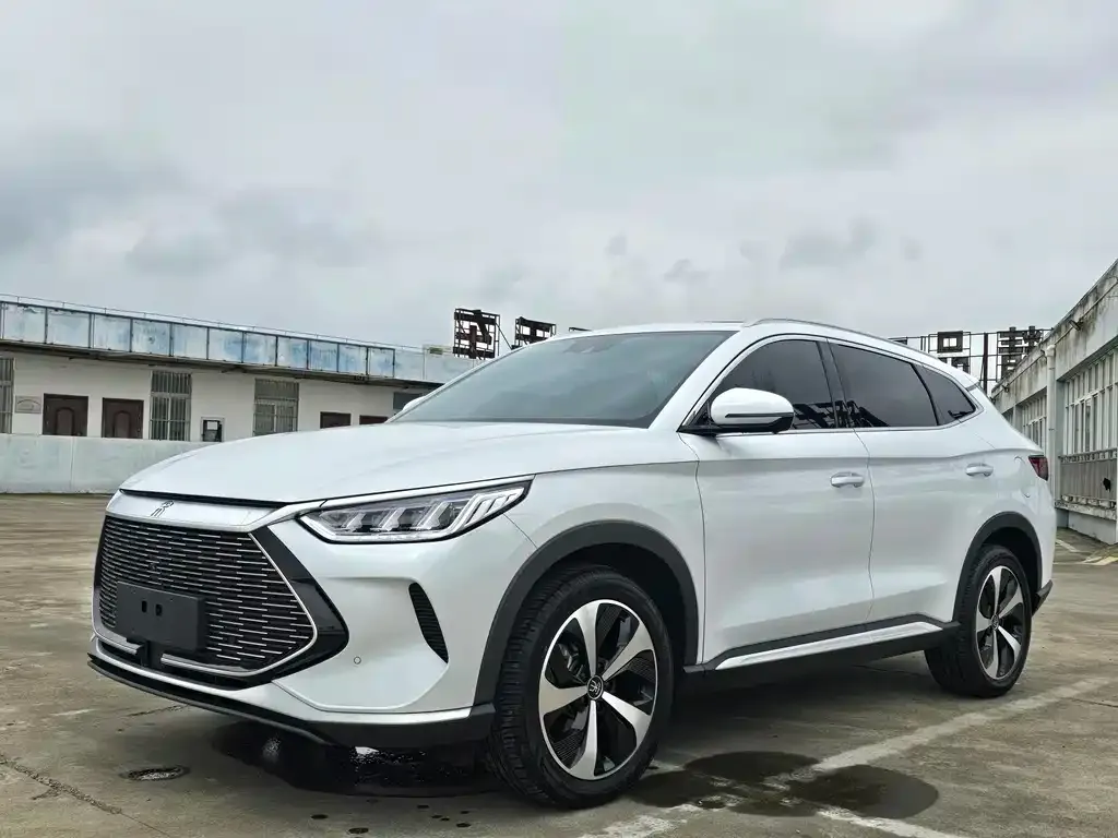 BYD PLUS New Energy — фото 1