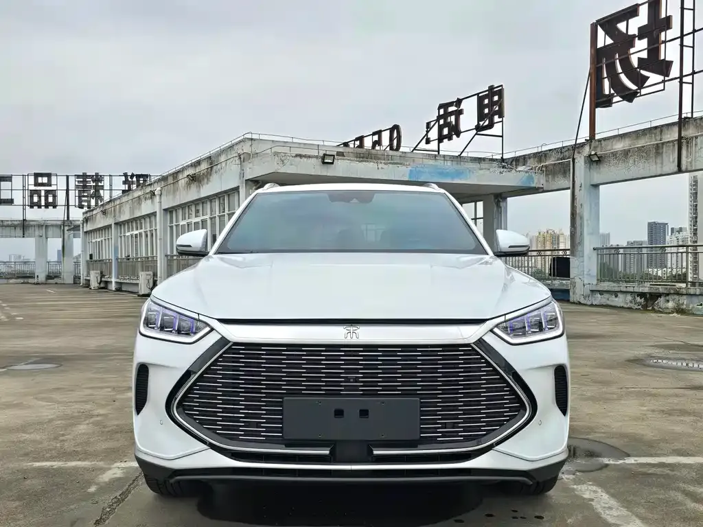 BYD PLUS New Energy — фото 7