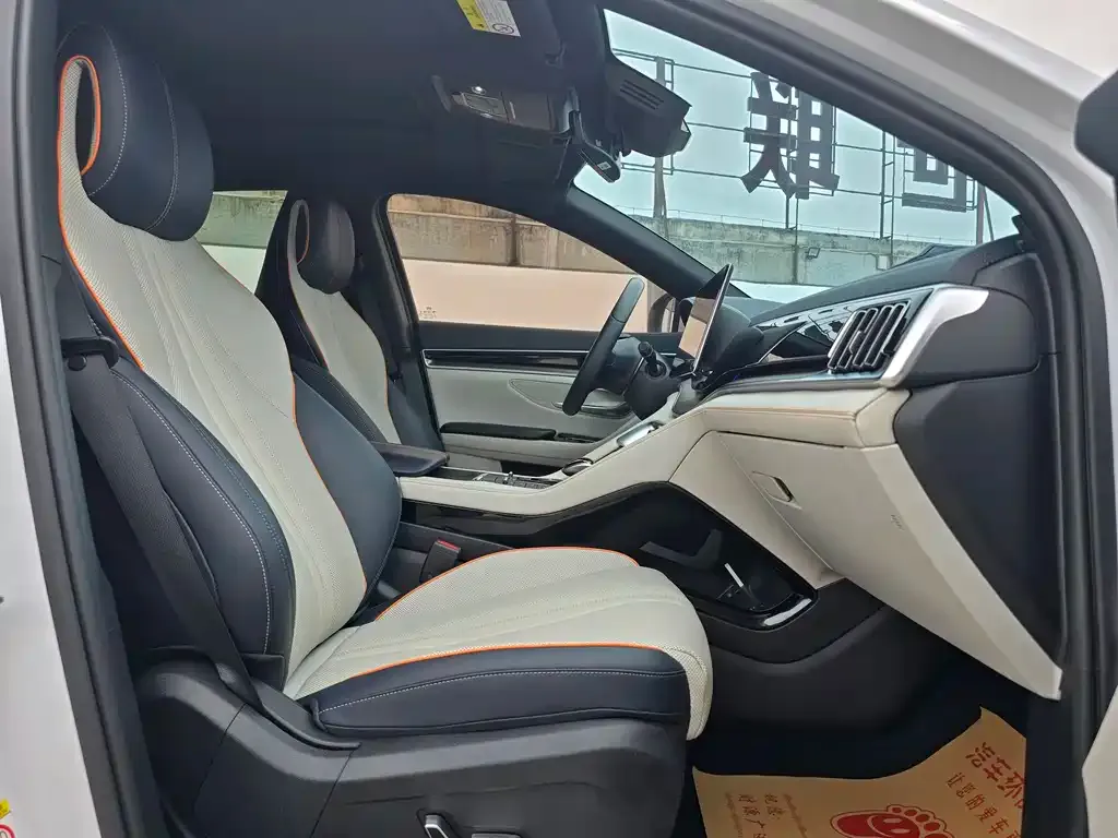 BYD PLUS New Energy — фото 6