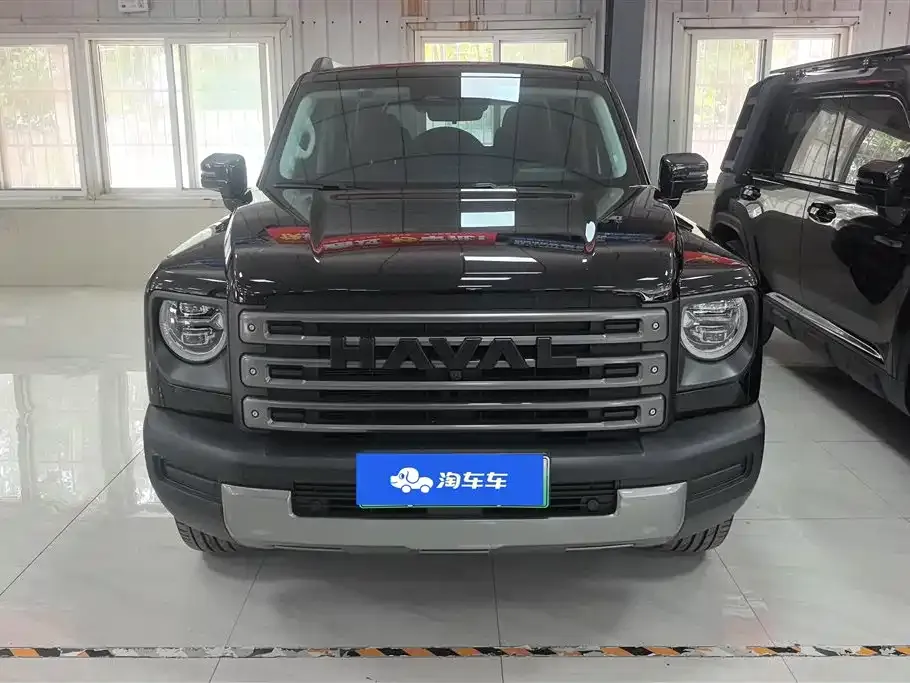 Haval Menglong New Energy — фото 10