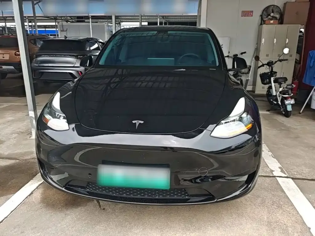 Tesla Model Y — фото 4