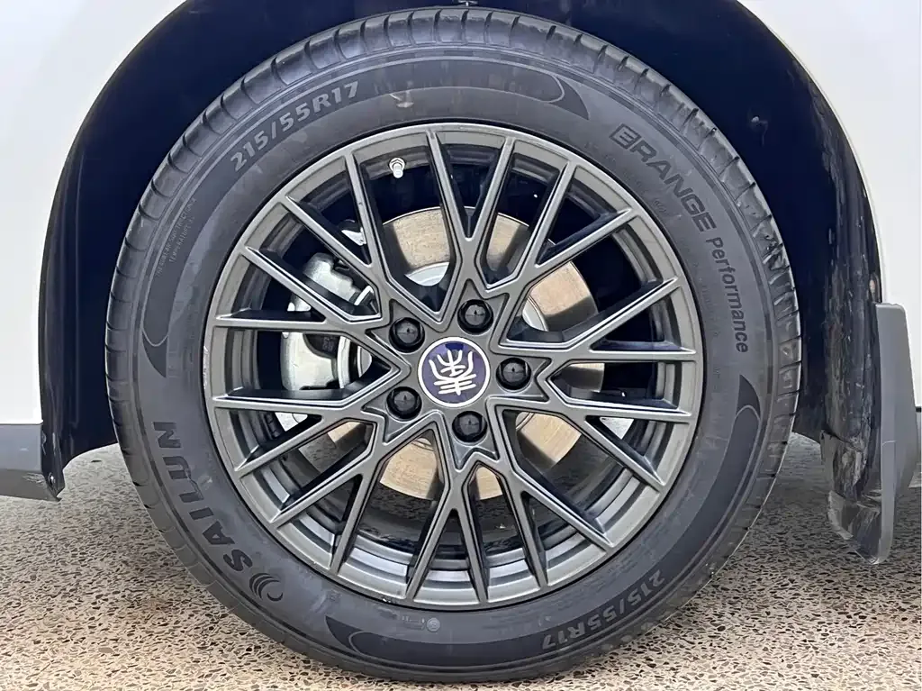 BYD Qin PLUS — фото 10