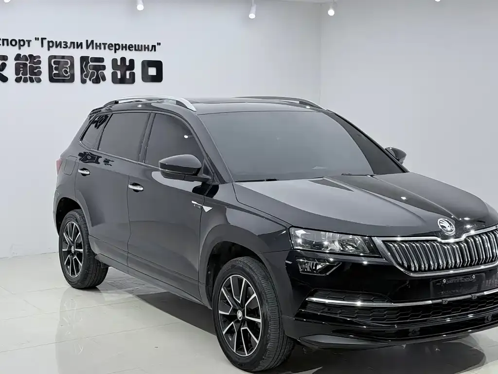 Skoda Karoq — фото 8