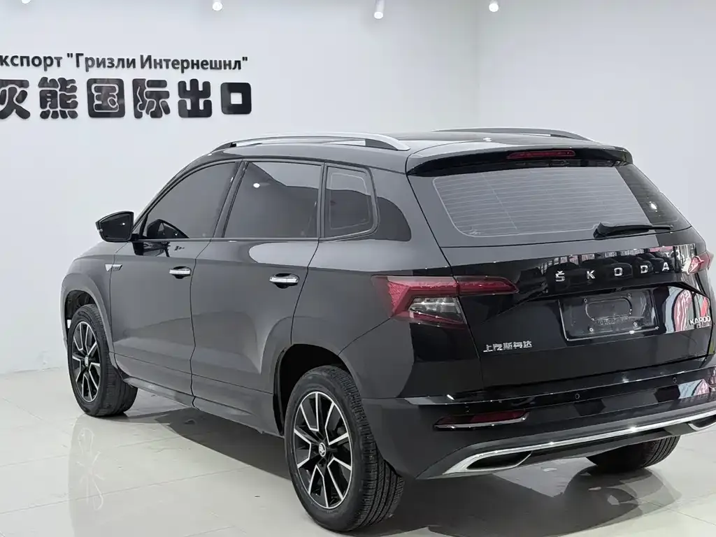 Skoda Karoq — фото 6