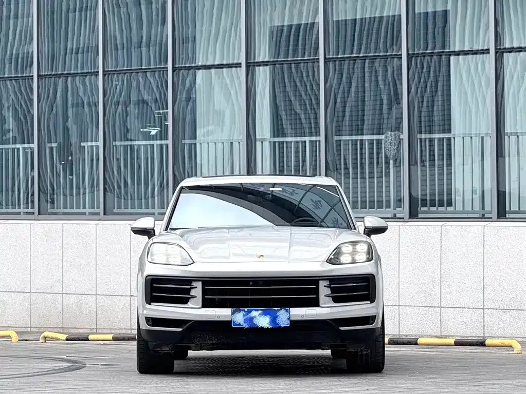 Porsche Cayenne — фото 10