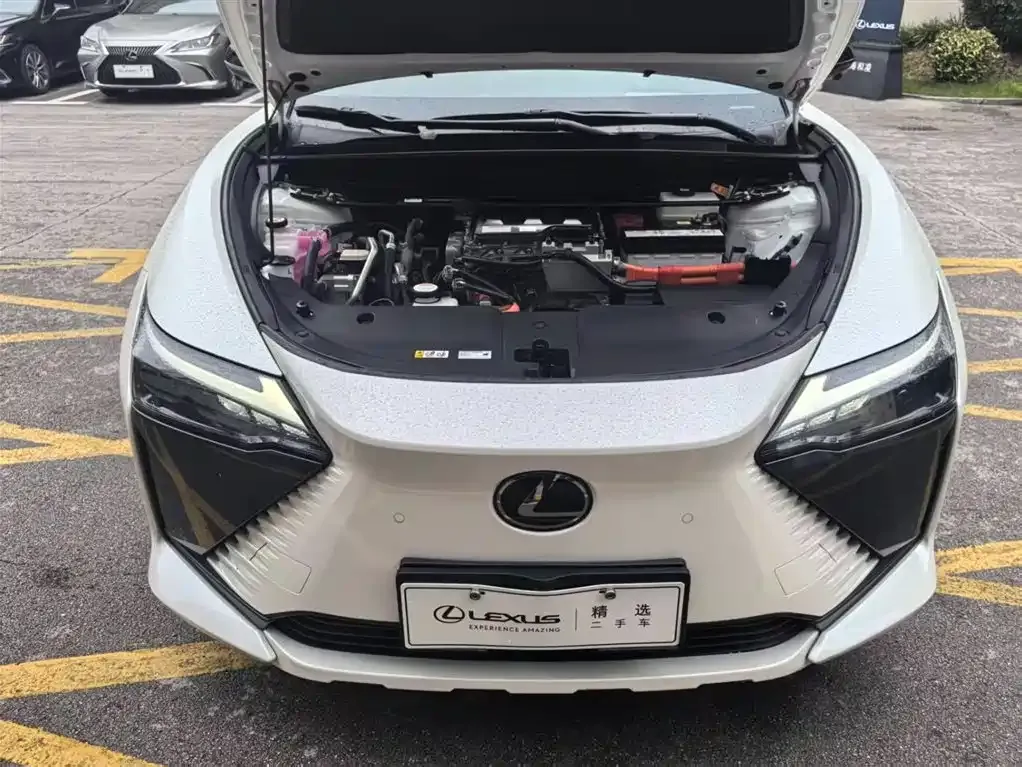 Lexus RZ — фото 7