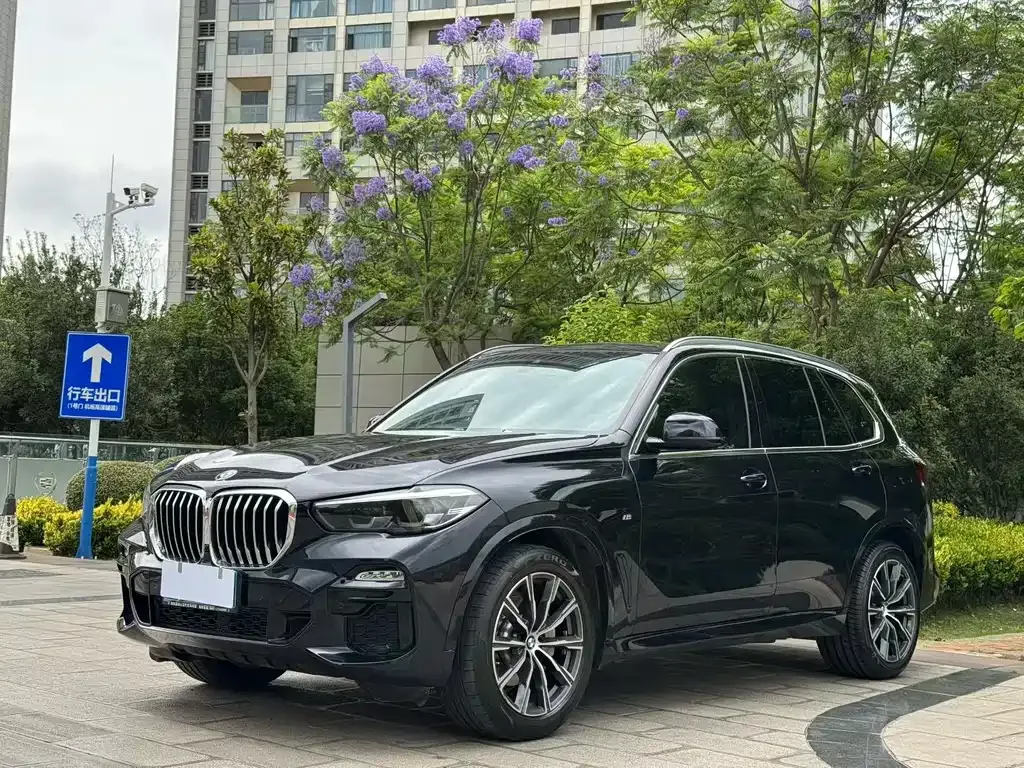 BMW X5 (Import) — фото 1