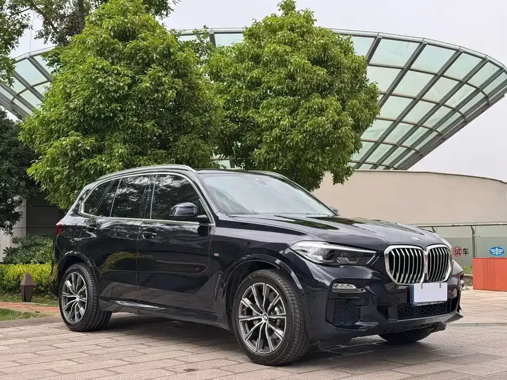 BMW X5 (Import) — фото 8