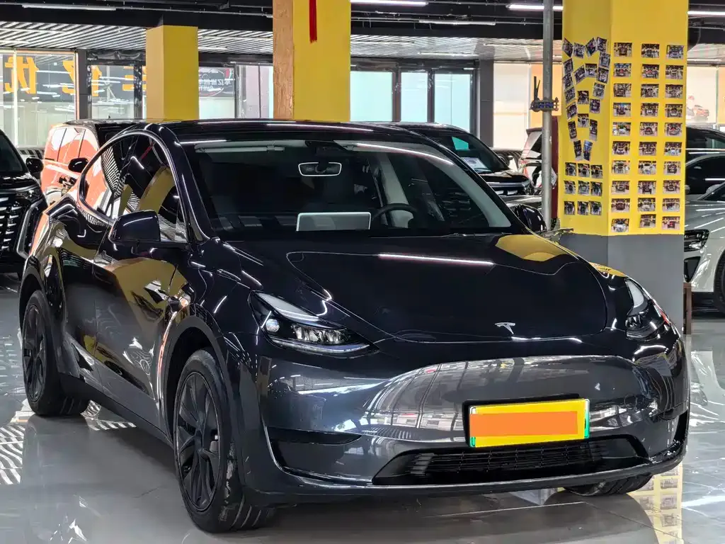 Tesla Model Y — фото 10