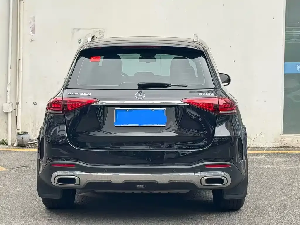 Mercedes-Benz 奔驰GLE(进口) — фото 9