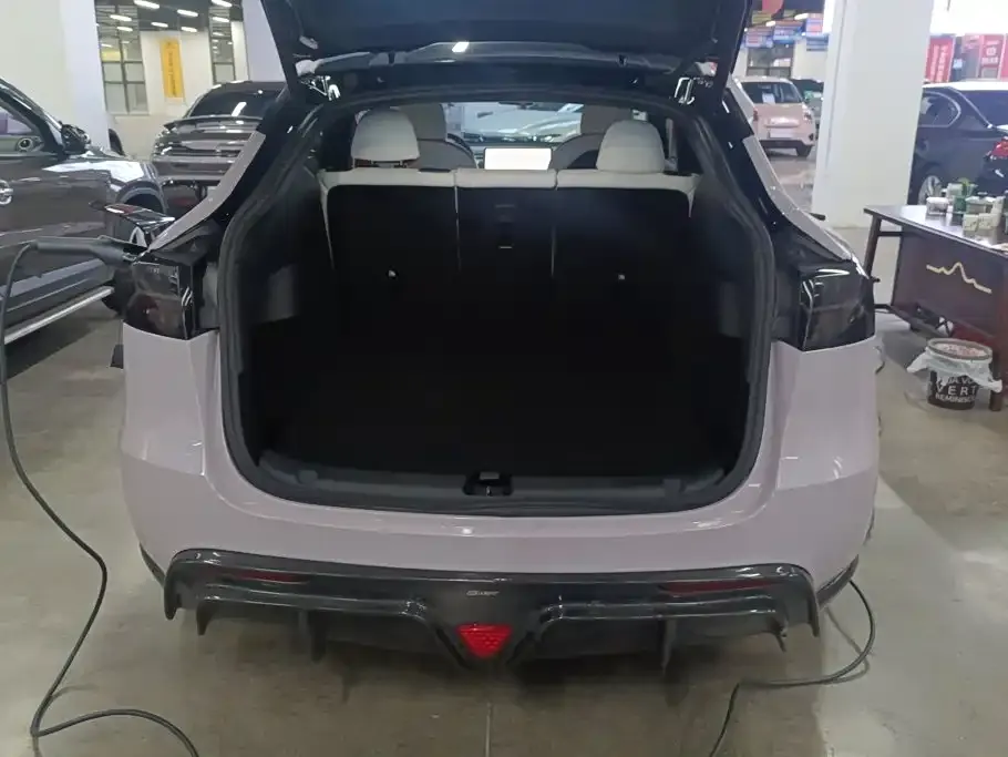 Tesla Model Y — фото 9