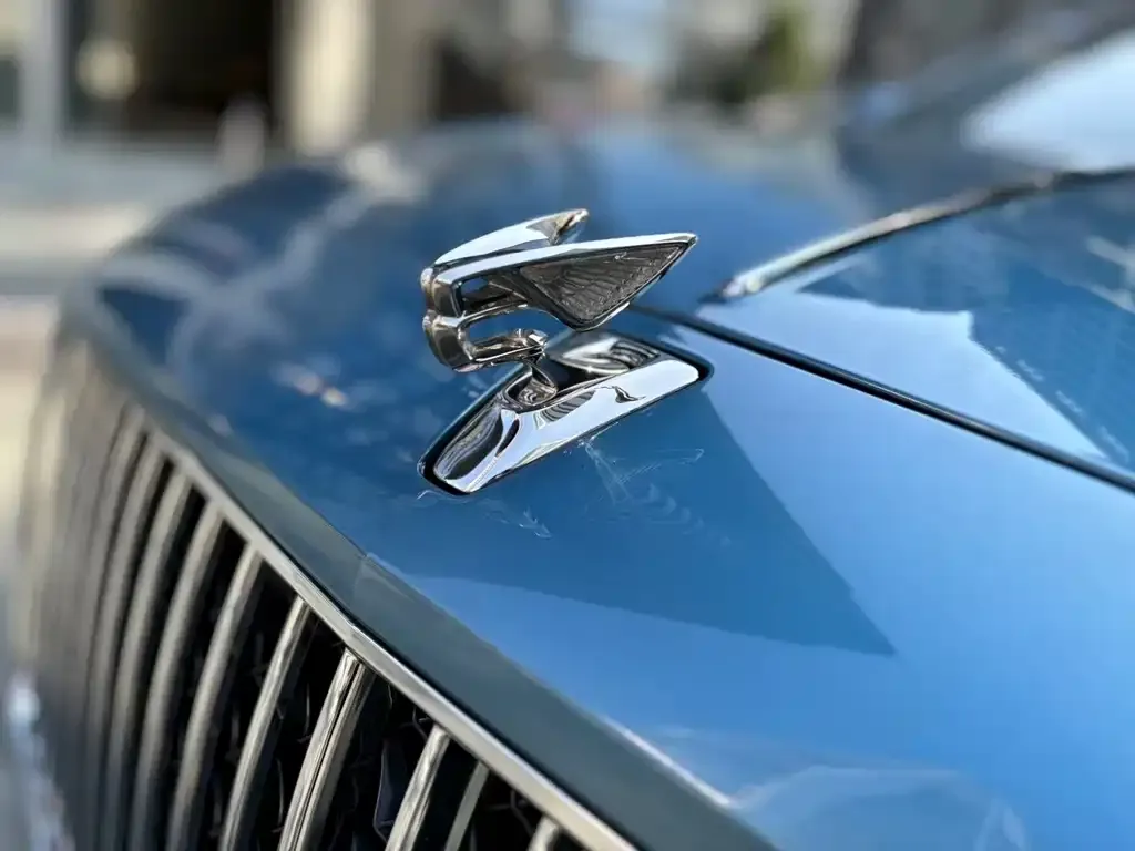Bentley Flying Spur — фото 3