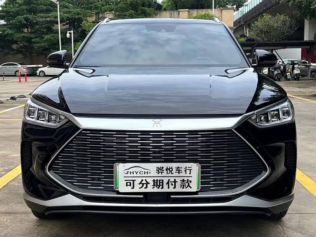 BYD PLUS New Energy — фото 1