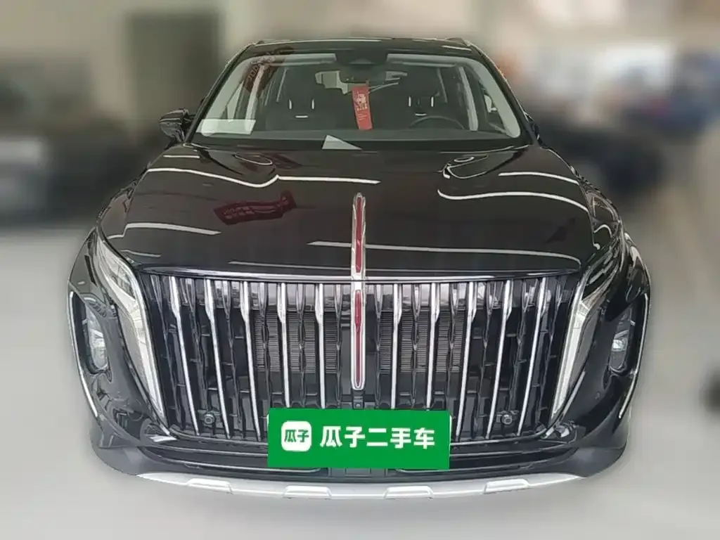 Hongqi HS7 PHEV — фото 6