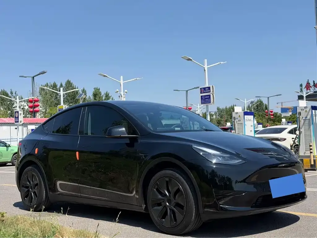 Tesla Model Y — фото 10