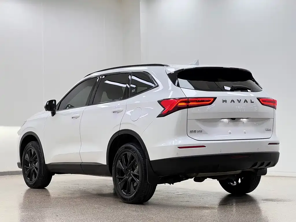 Haval H6 — фото 5