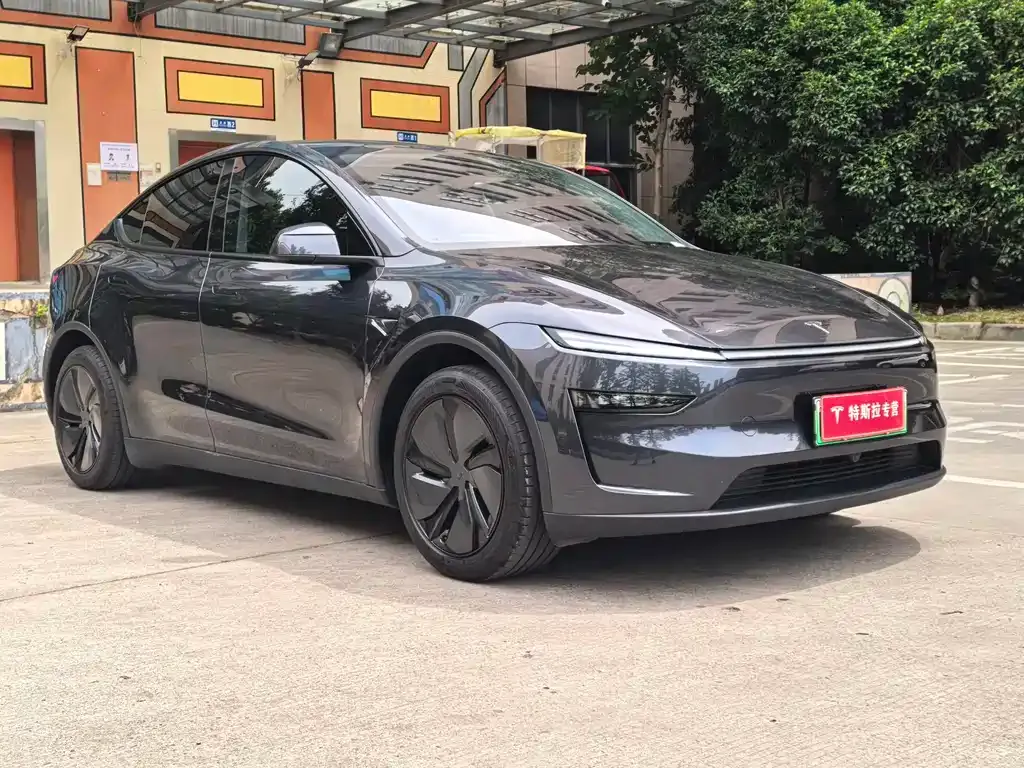 Tesla Model Y — фото 10