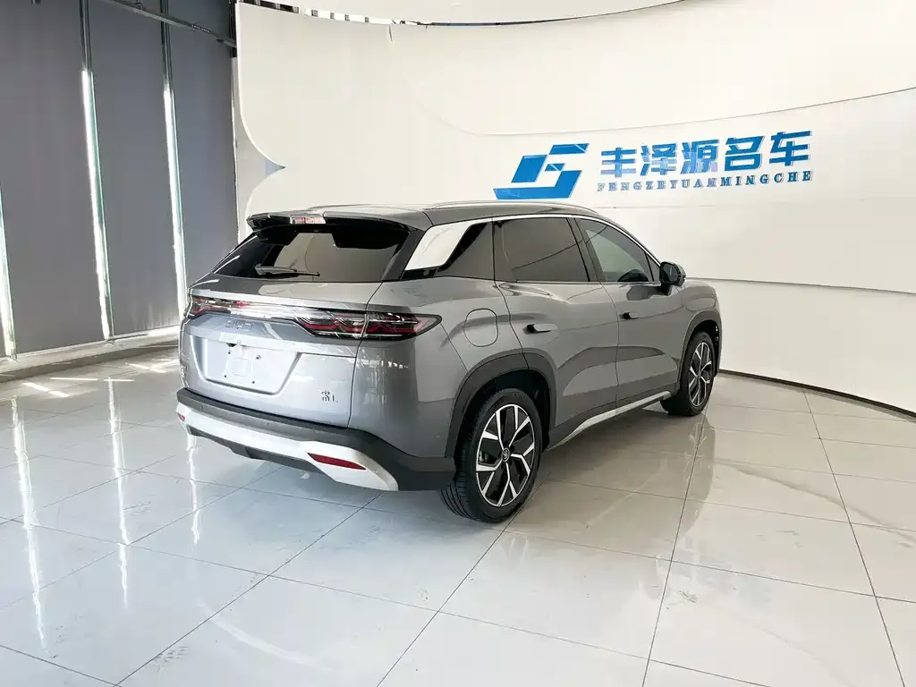 BYD L DM-i — фото 5
