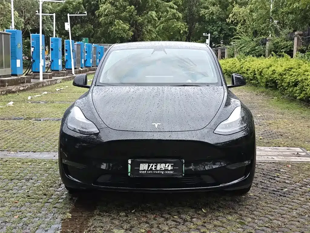 Tesla Model Y — фото 6