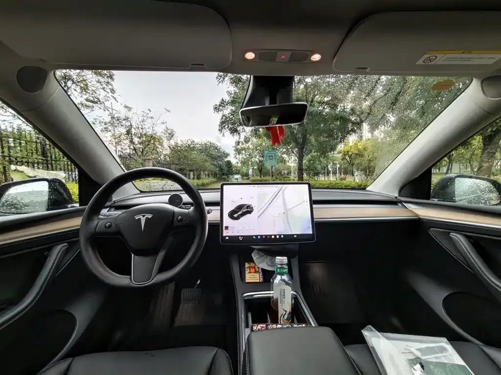 Tesla Model Y — фото 2