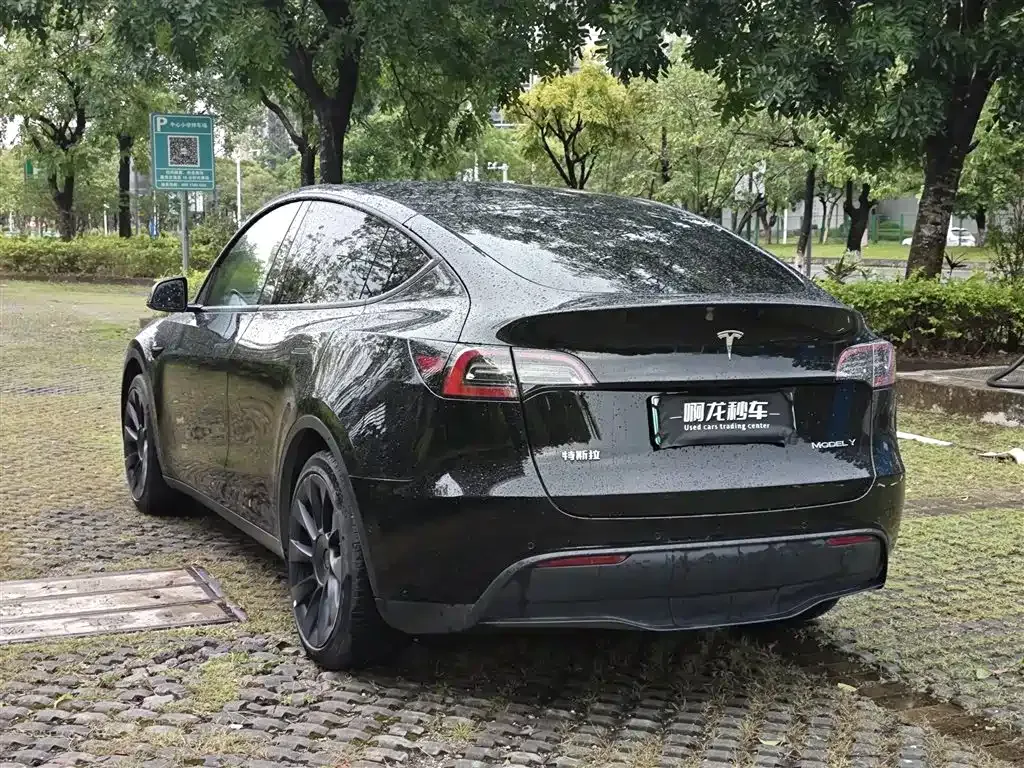 Tesla Model Y — фото 8