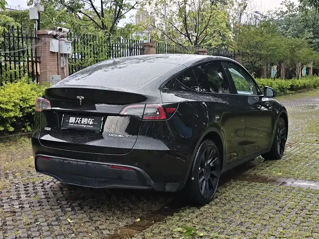 Tesla Model Y — фото 9