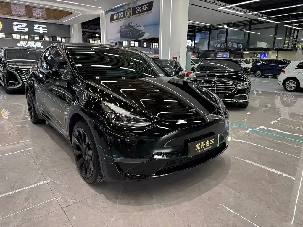 Tesla Model Y — фото 8
