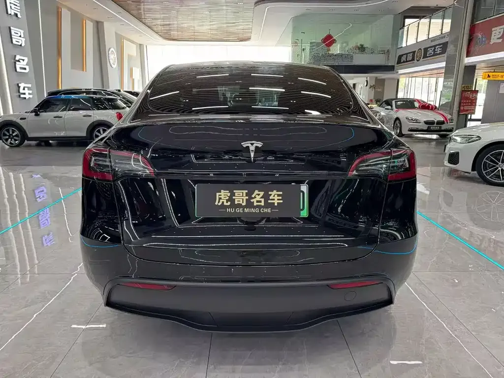 Tesla Model Y — фото 6