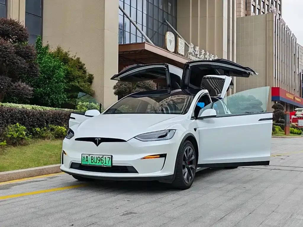 Tesla Model X — фото 1